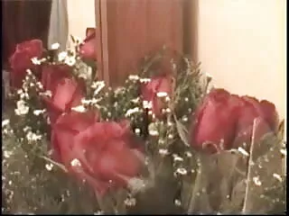 বড় বাংলা সেক্সি ফিল্ম সুন্দরী মহিলা