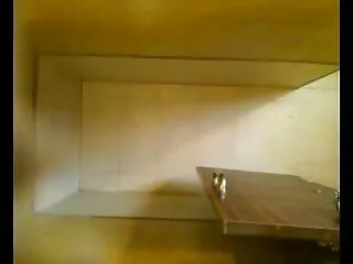 ডোম্ম ওয়াইল্ড বেঙ্গলি সেক্সি 1080