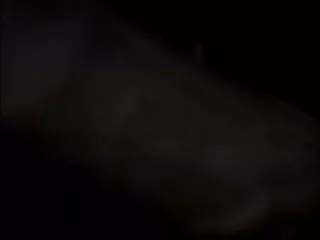 স্বামী ও বাংলা সেক্সি চোদাচুদি স্ত্রী