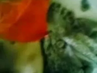এছাড়াও dellai -, পোঁদ, বাংলাদেশী সেক্সি গান মজা, এছাড়াও Dellai বন্য 1080