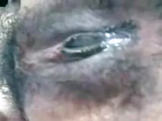 ছাত্র বাংলা সেক্সি বাংলা সেক্সি অনুবাদ (2020)