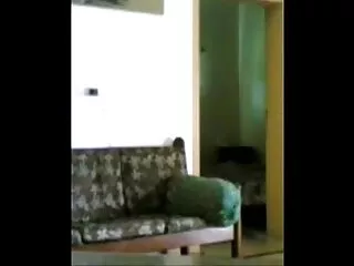 টাইট বেঙ্গলি সেক্সি ভিডিও গুদের মেয়ের,