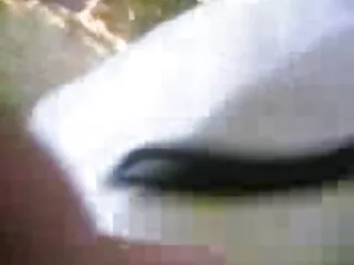 শ্রেষ্ঠ বাঙালি সেক্সি 1