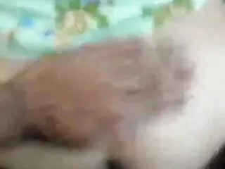 হার্ডকোর, বৃদ্ধা, পরিণত, বাংলাসেক্সি পরিণত)